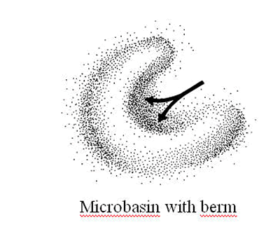 Microbasin with berm